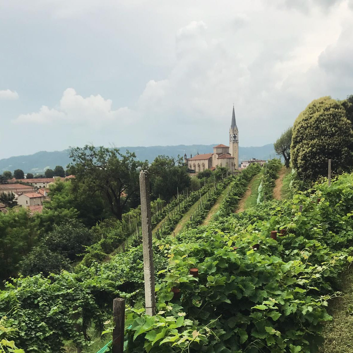 Michele Bertuzzo - Veduta Montecchio Maggiore Vicenza