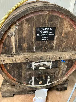 Il Bianco di Cesare Tiberi Vini Artigianali