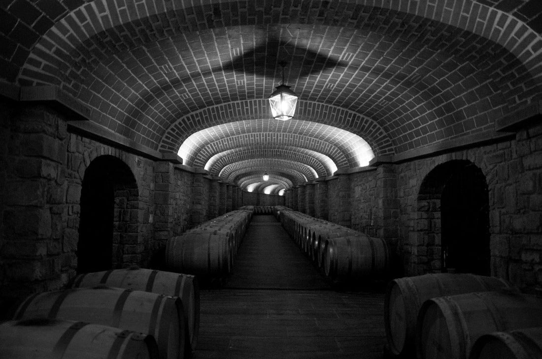 5 Errori Fatali nella Conservazione del Vino (e Come Salvarsi)