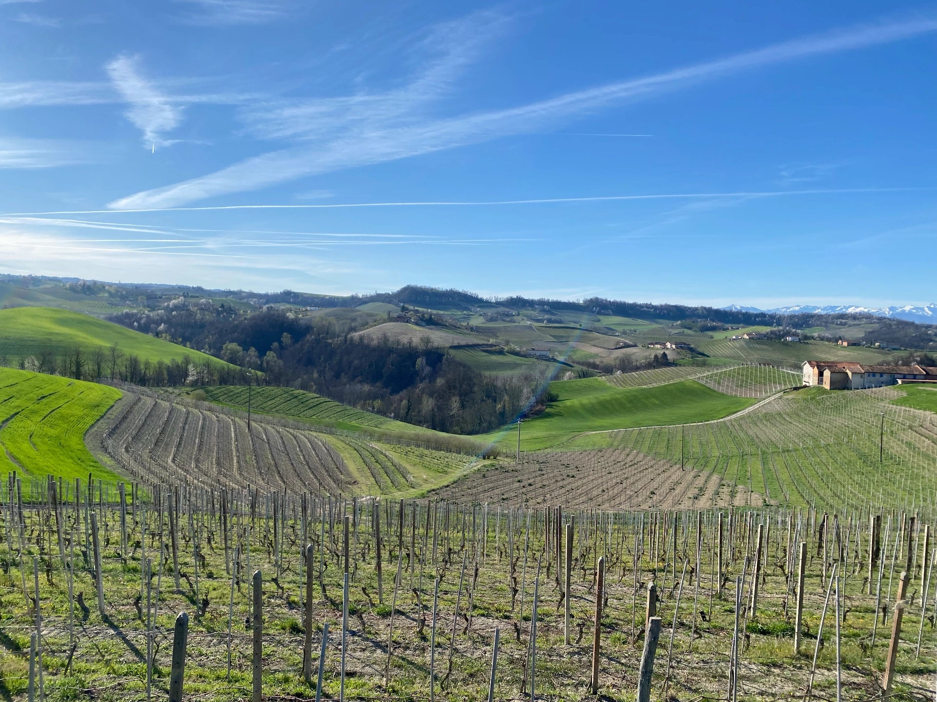 Territorio e vigneti