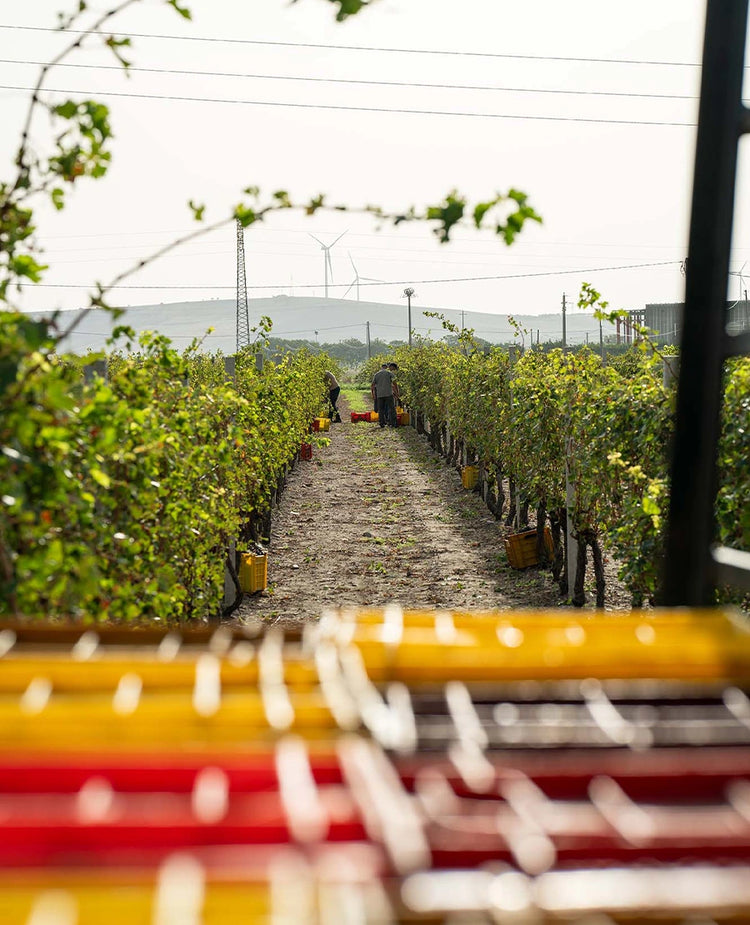 <h2>Alla scoperta di Juvara</h2>